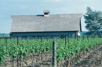010309_0801_0060_nsls.jpg