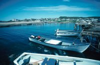 010309_0801_0021_nsls.jpg