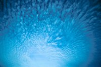 010309_0775_0872_nsls.jpg