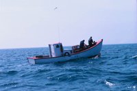 010309_0775_0860_nsls.jpg