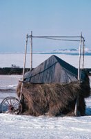 010309_0775_0837_nsls.jpg