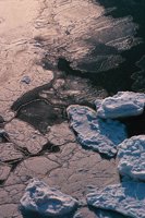 010309_0775_0802_nsls.jpg