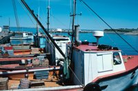 010309_0775_0778_nsls.jpg
