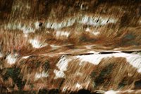 010309_0775_0759_nsls.jpg