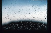 010309_0775_0717_nsls.jpg