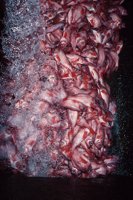 010309_0775_0714_nsls.jpg