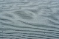 010309_0775_0654_nsls.jpg