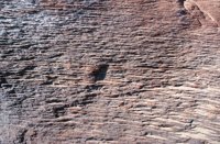 010309_0775_0605_nsls.jpg