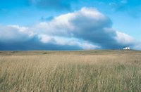 010309_0775_0602_nsls.jpg