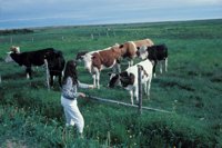 010309_0775_0385_nsls.jpg