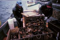 010309_0775_0379_nsls.jpg