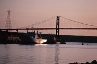 010309_0775_0201_nsls.jpg