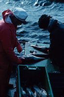 010309_0775_0196_nsls.jpg