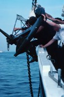 010309_0775_0191_nsls.jpg