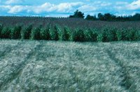 010309_0775_0025_nsls.jpg