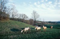 010309_0775_0015_nsls.jpg