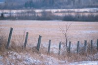 001207_0586_0080_nsls.jpg