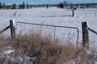 001207_0586_0075_nsls.jpg