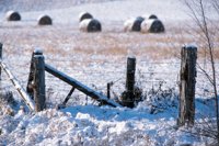 001207_0586_0057_nsls.jpg