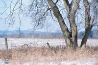 001207_0586_0056_nsls.jpg