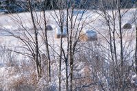 001207_0586_0054_nsls.jpg