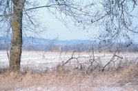 001207_0586_0052_nsls.jpg