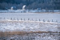 001207_0586_0050_nsls.jpg