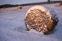 001207_0586_0047_nsls.jpg