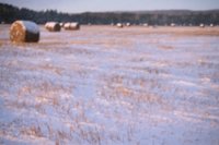 001207_0586_0046_nsls.jpg