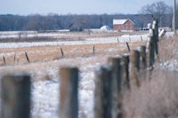 001207_0586_0045_nsls.jpg