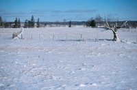 001207_0586_0018_nsls.jpg
