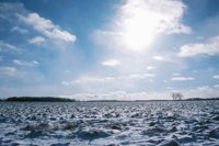 001207_0586_0012_nsls.jpg