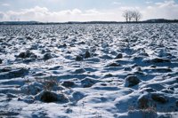 001207_0586_0011_nsls.jpg