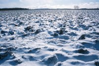 001207_0586_0010_nsls.jpg