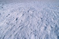 001207_0586_0009_nsls.jpg