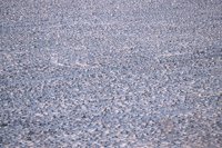 001207_0586_0008_nsls.jpg