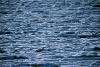 001207_0586_0005_nsls.jpg