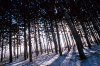 001207_0586_0003_nsls.jpg