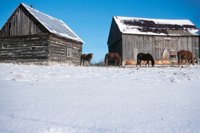 001207_0586_0002_nsls.jpg