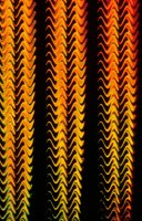 001109_0549_0416_nsls.jpg
