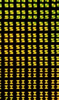 001109_0549_0413_nsls.jpg
