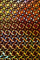 001109_0549_0407_nsls.jpg