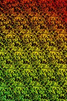 001109_0549_0403_nsls.jpg