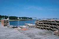 001109_0549_0193_nsls.jpg