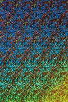 001109_0549_0075_nsls.jpg