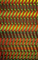 001109_0549_0070_nsls.jpg