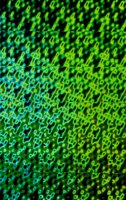 001109_0549_0069_nsls.jpg