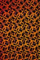 001109_0549_0068_nsls.jpg