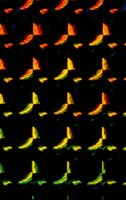 001109_0549_0066_nsls.jpg