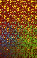001109_0549_0065_nsls.jpg